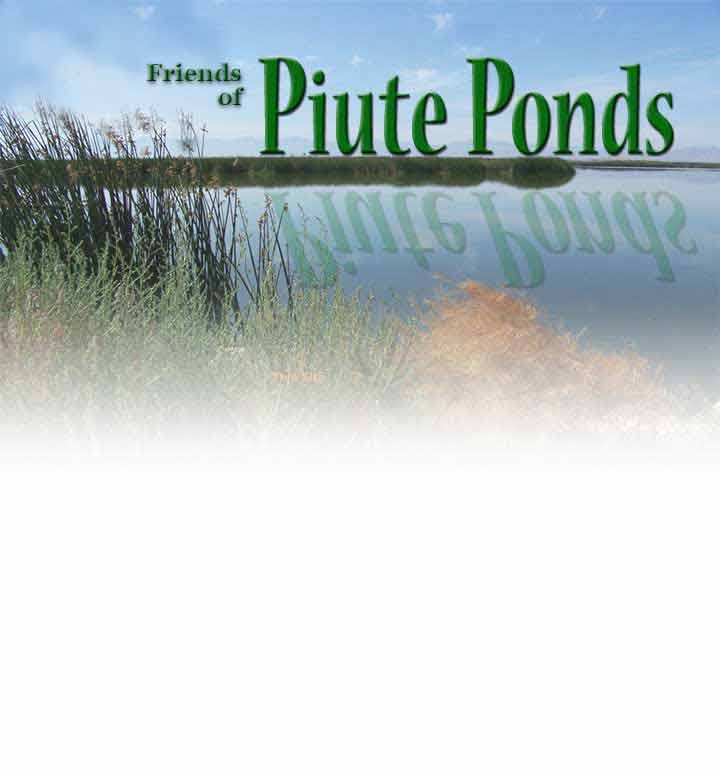 PiutePonds-Background_Image